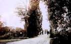 Pont_suspendu (51).jpg